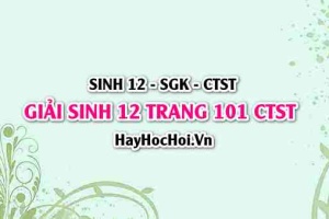 Giải Sinh 12 trang 101 Chân trời sáng tạo SGK